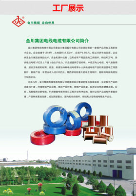 金昌电缆60227IECO1(EV)_绝缘导线批发